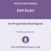 Estágio de em Programas Estratégicos pronto para download