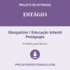Estágio de Obrigatório I Educação Infantil Pedagogia pronto para download