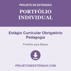 Portfólio Individual Estágio Curricular Obrigatório Pedagogia