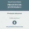 Projeto de Extensão I de Produção Industrial pronto para download