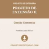 Projeto de Extensão II de Gestão Comercial pronto para download