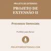 Projeto de Extensão II de Processos Gerenciais pronto para download