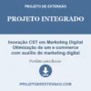 Projeto Integrado de Inovação CST em Marketing Digital Otimização de um e-commerce com auxílio do marketing digital pronto para download