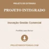 Projeto Integrado de Inovação Gestão Comercial pronto para download