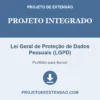 Projeto Integrado de Lei Geral de Proteção de Dados Pessoais (LGPD) pronto para download