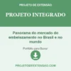 Projeto Integrado de Panorama do mercado do embelezamento no Brasil e no mundo pronto para download