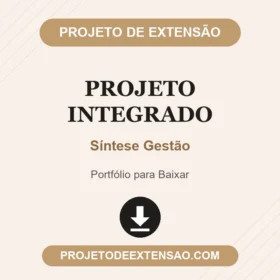 Portfólio Individual Projeto Integrado Síntese Gestão