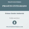 Projeto Integrado de Síntese Gestão Ambiental pronto para download