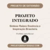 Projeto Integrado de Síntese Raízes Essência e Inspiração Brasileira pronto para download