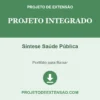 Projeto Integrado de Síntese Saúde Pública pronto para download
