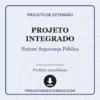 Projeto Integrado de Síntese Segurança Pública pronto para download