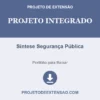 Projeto Integrado de Síntese Segurança Pública pronto para download